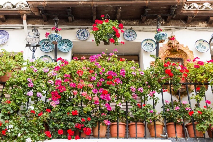 Granada: Albaicín and Sacromonte Walking Tour - Key points to know before you book