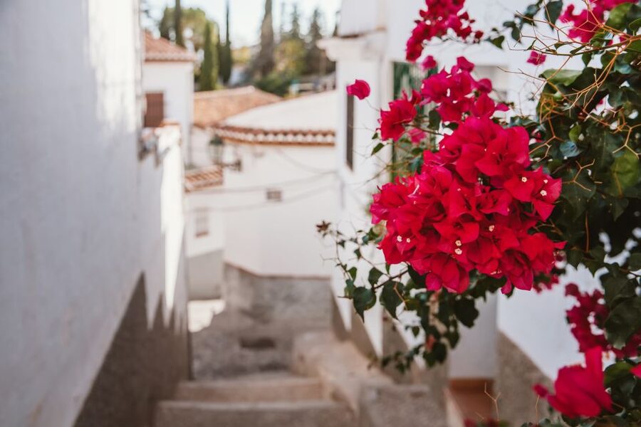 Granada: Albaicín and Sacromonte Walking Tour - The walking conditions you should expect