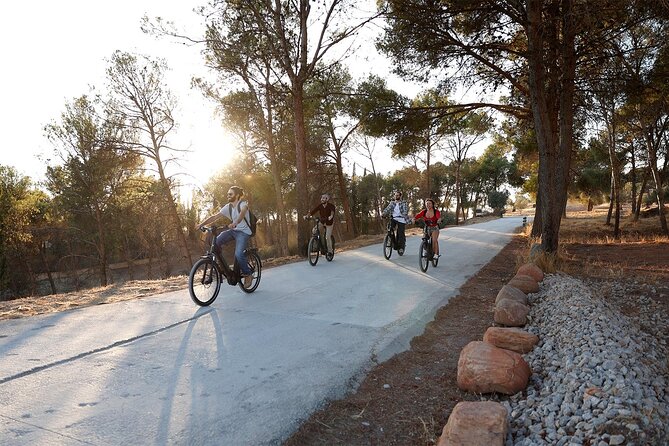 Granada: Alhambra and Sierra Nevada Sunset Views by E-Bike - Sierra Nevada views from the olive groves