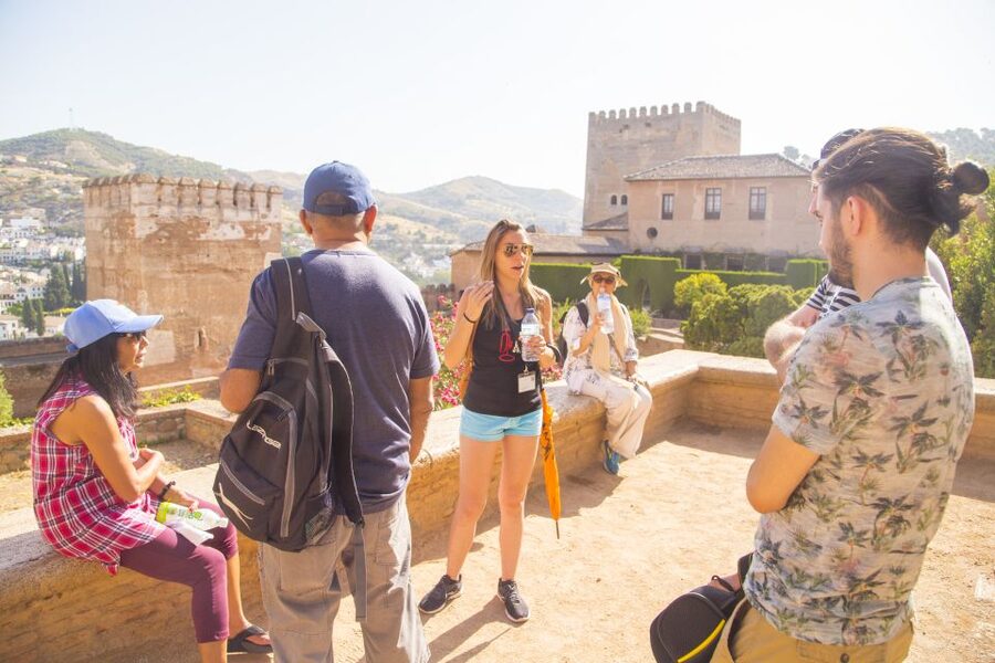Granada: Alhambra Complex Guided Tour with Ticket - The Nasrid Palaces: the artistic heart of the Alhambra