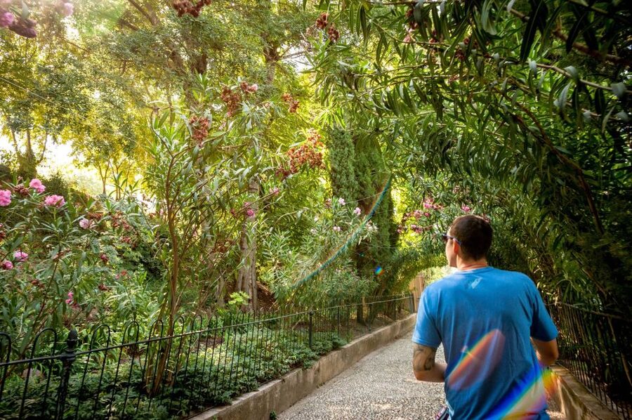 Granada: Alhambra Entry Ticket with Audio Guide - What the Granada city information adds