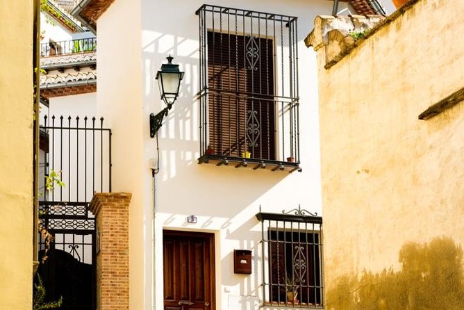 Granada Day Trip with Alhambra and Albaicin Tour from Seville - Who should book this Seville to Granada day trip?