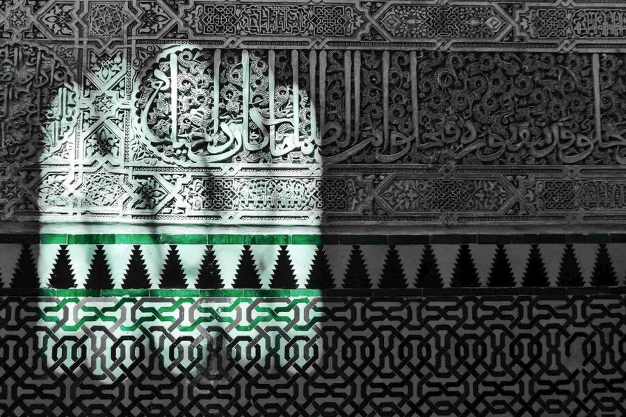Granada: Fast-Track Alhambra & Nasrid Palaces Guided Tour - What the guide adds to the experience