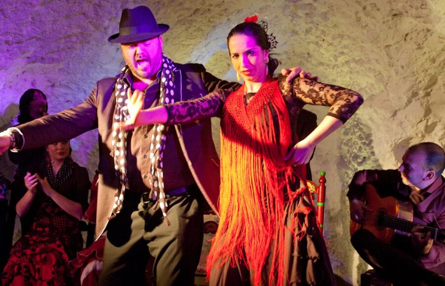 Granada: Flamenco Show at Templo del Flamenco with Drink - Who should book this flamenco show?