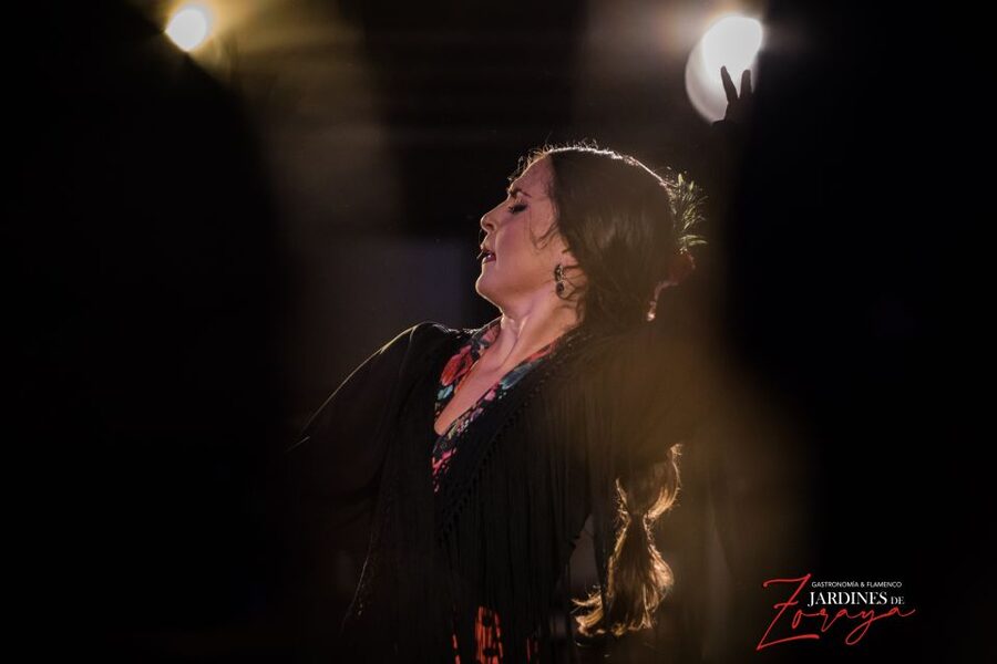 Granada: Flamenco Show in Albaycin - Jardines de Zoraya - What happens during the one-hour show