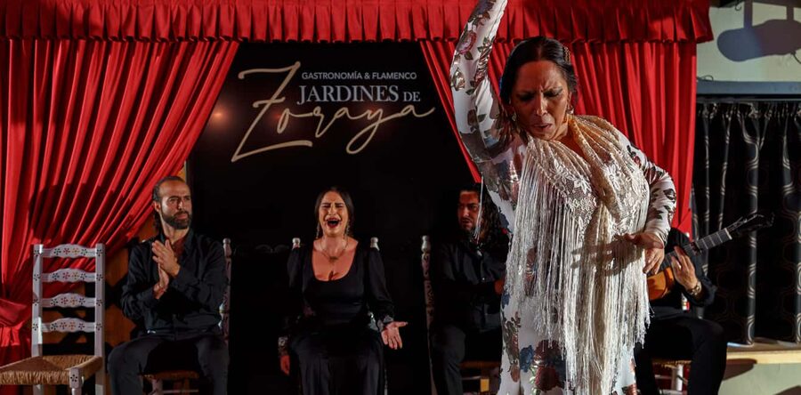 Granada: Flamenco Show in Albaycin - Jardines de Zoraya - Is the $28 price good value?