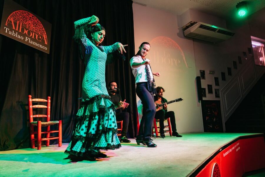 Granada: Flamenco Show in La Alboreá - Key points to know before you book
