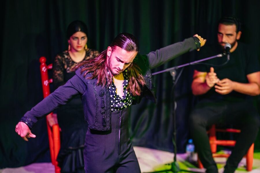 Granada: Flamenco Show in La Alboreá - Practical details before you go