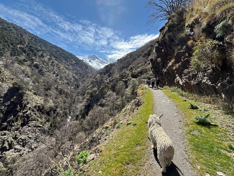 Granada: High Sierra Nevada Hiking Tour to 3000 Meters - The climb to Tajos del Campanario