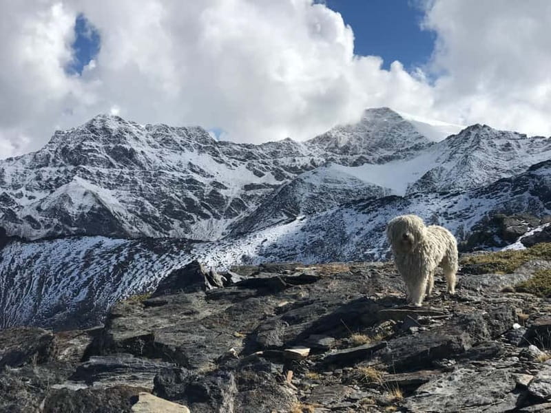 Granada: High Sierra Nevada Hiking Tour to 3000 Meters - Why the guide makes a difference