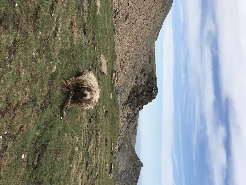 Granada: High Sierra Nevada Hiking Tour to 3000 Meters - What the $50 price includes