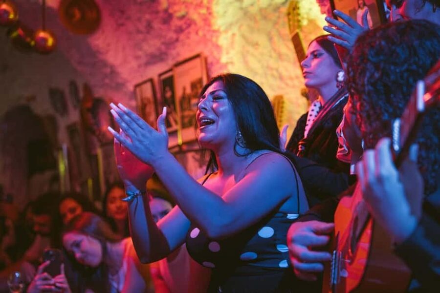 Granada: Los Amayas Cave Traditional Flamenco Show - Is $28 a fair price?