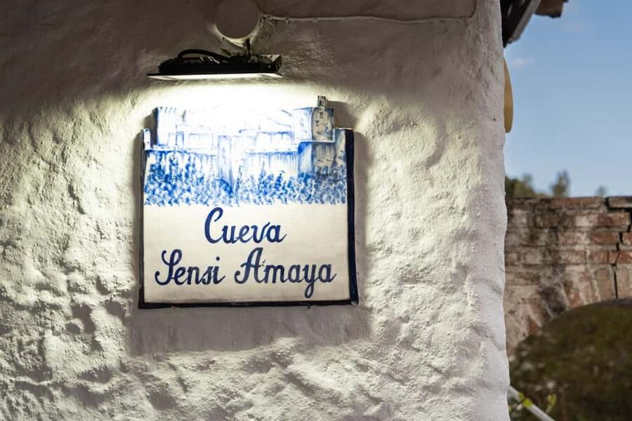 Granada: Los Amayas Cave Traditional Flamenco Show - Practical drawbacks to consider