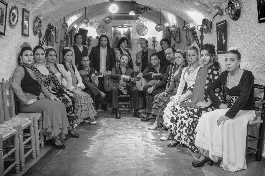 Granada: Sacromonte Caves Flamenco Show with Dinner - Is $68 a fair price?