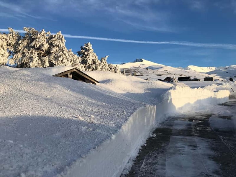 Granada: Sierra Nevada Safari Tour to 2500 m with a Drink - Key points at a glance