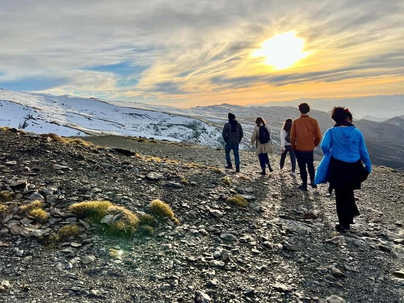 Granada: Sierra Nevada Safari Tour to 2500 m with a Drink - Guides make the difference
