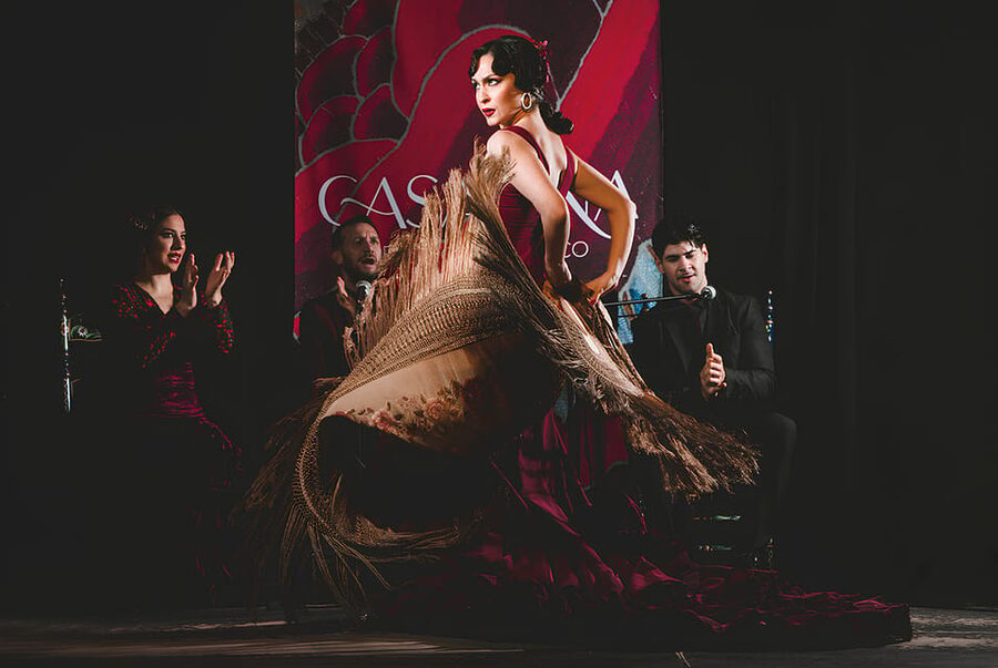 Granada: Traditional Flamenco Show at Tablao Casa Ana - Key points at a glance