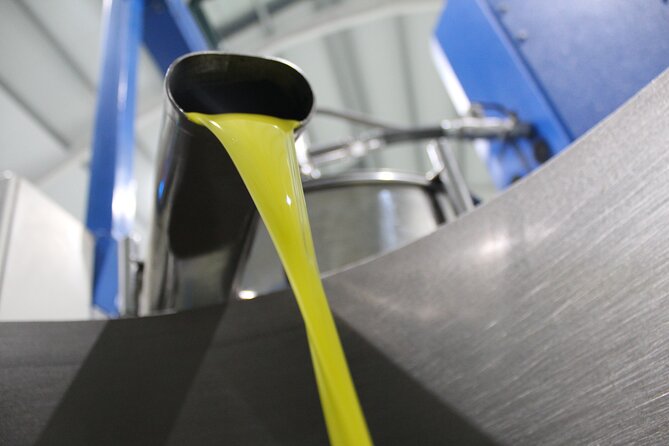 Guided tour and olive oil tasting in Alhaurin el Grande (Málaga) - From shop entrance to working olive mill