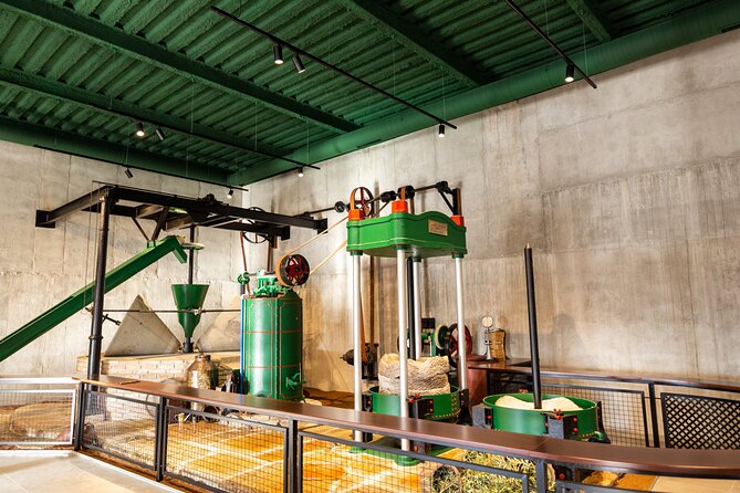 Guided tour and olive oil tasting in Alhaurin el Grande (Málaga) - Learning to taste three olive oils