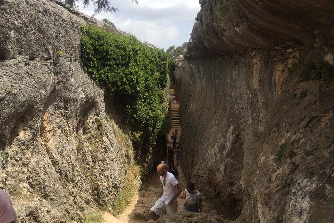 Guided tour in the Enchanted City - The value of $13.95 per person