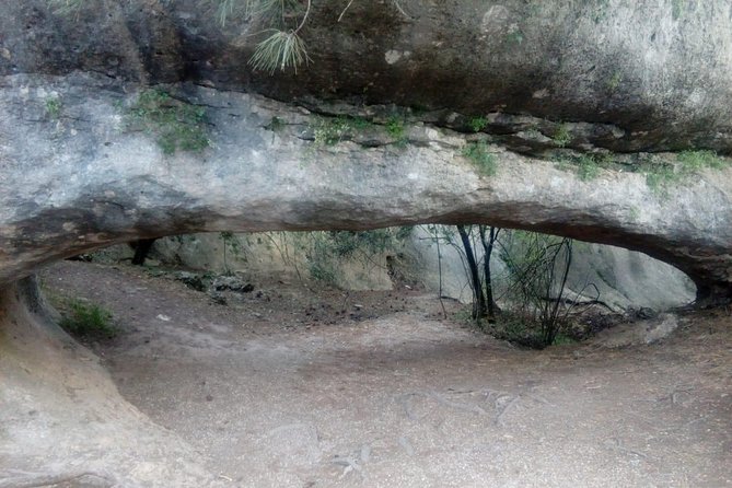 Guided tour in the Enchanted City - Why families may enjoy this natural monument