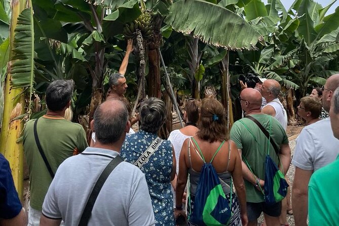 Guided tour of the Banana World - Banana World at a glance