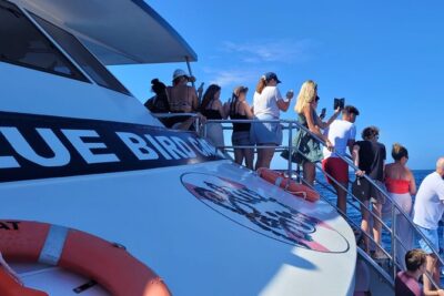Half-Day Cruise Tour-Dolphin and Whale Watching