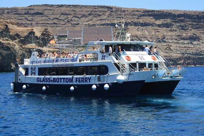 Half-Day Cruise Tour-Dolphin and Whale Watching - Pickup, Timing, and Group Size