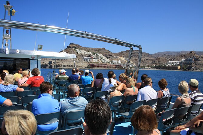Half-Day Cruise Tour-Dolphin and Whale Watching - Who Will Get the Most From This Cruise