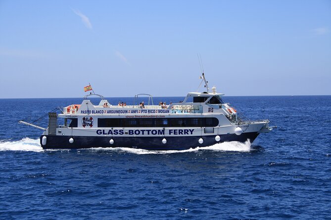 Half-Day Cruise Tour-Dolphin and Whale Watching - Should You Book the Puerto Rico Dolphin Cruise?