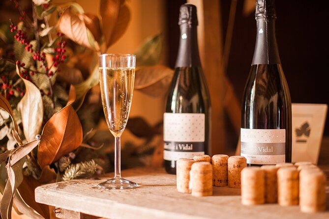 High-End Vineyard Escape: Cava, Tapas & Wine | Private Tour - Eight tastings, not an all-day drinking marathon