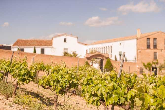 High-End Vineyard Escape: Cava, Tapas & Wine | Private Tour - Who will enjoy this day most?