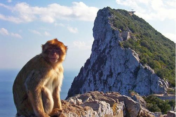 Historic Gibraltar Rock and St Michael's Cave Tour from Seville - Riding up the Rock to the main viewpoints