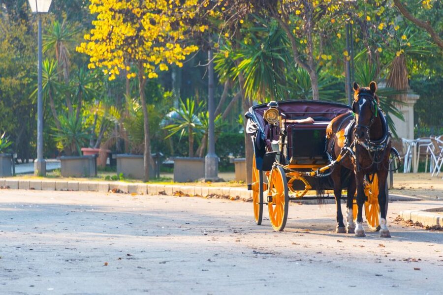 Horse-Drawn Carriage Ride Through Seville - Key points before you book
