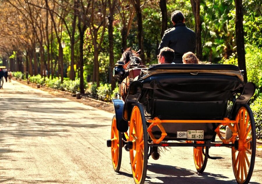 Horse-Drawn Carriage Ride Through Seville - San Telmo Palace and the riverfront