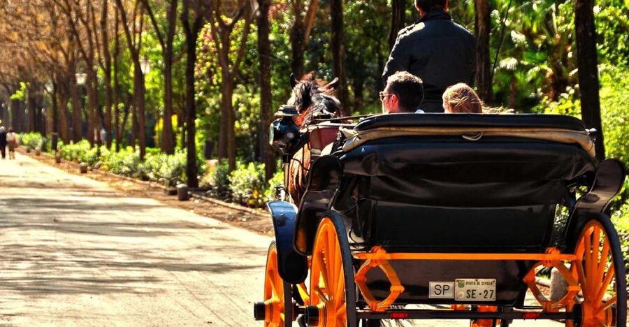 Horse-Drawn Carriage Ride Through Seville - The University of Seville and Hotel Alfonso XIII