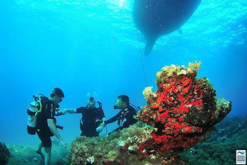 Ibiza Scuba Diving for Beginners and Snorkeling - A calm introduction for first-time scuba guests