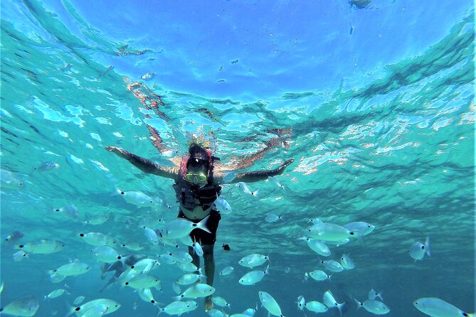 Ibiza Snorkeling Beach and Cave Tour - A boat day built around swimming, not beach landings