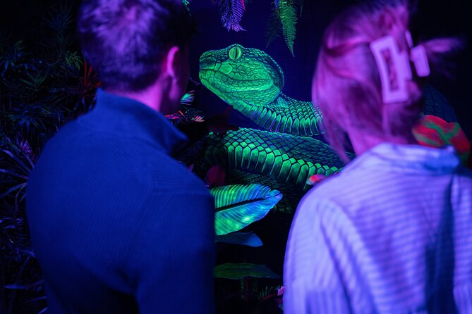 IKONO: a Unique Sensory and Photographic Experience - Is $14.41 good value?