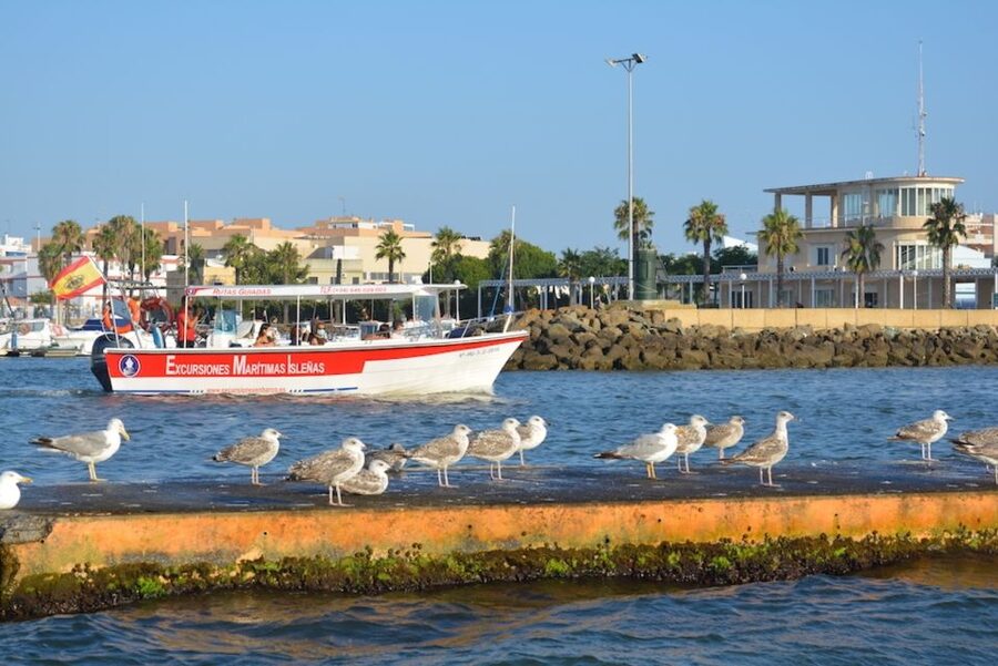 Isla Cristina/Isla Canela: Boat Trip Through the Marshes - Why the sunset departure is worth considering