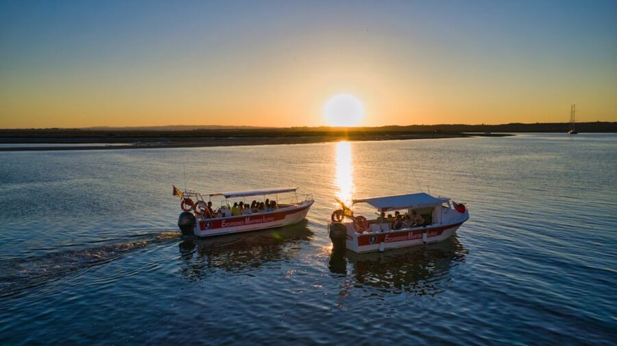 Isla Cristina/Isla Canela: Boat Trip Through the Marshes - The Spanish commentary and audio guide