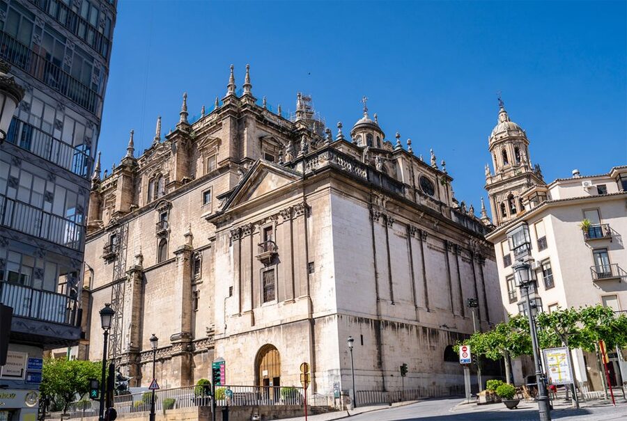 Jaén: 3-hour tour, Cathedral, Jewish Quarter and Arab Baths - The Lizard of Jaén and La Magdalena