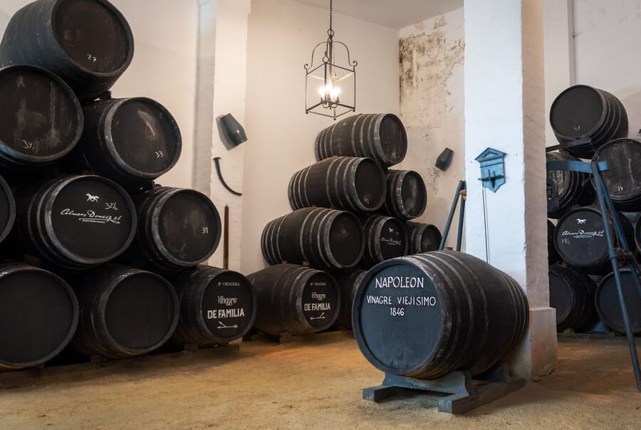 Jerez: Bodegas Álvaro Domecq Guided Tour with Wine Tasting - Key points to know before you book