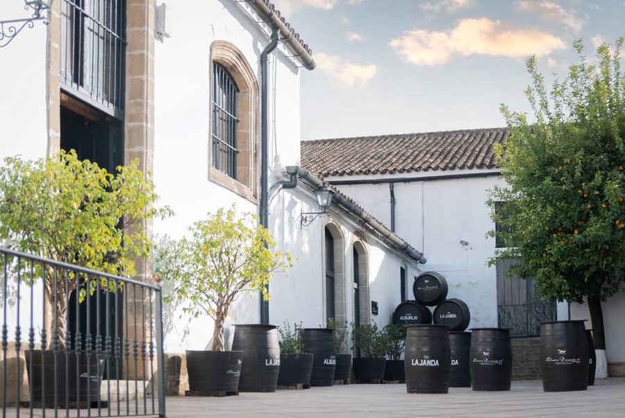 Jerez: Bodegas Álvaro Domecq Guided Tour with Wine Tasting - Inside the brandy and Oloroso cellars