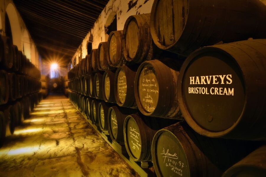 Jerez: Bodegas Fundador Guided Tour with Tasting Session - Why this bodega matters in Jerez
