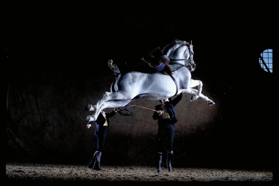Jerez de la Frontera: Andalusian Horse Dance and Museums - The Art Equestrian Museum explains the tradition