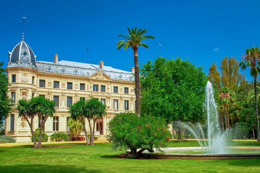Jerez de la Frontera: How the Andalusian Horses Dance - Why the horses are the real stars of Jerez