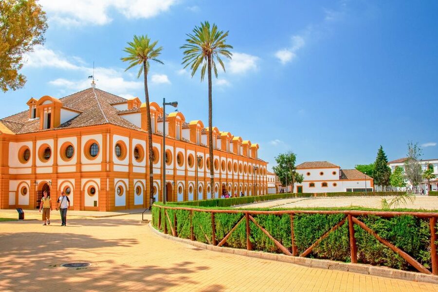 Jerez de la Frontera: How the Andalusian Horses Dance - From Pas de Deux to airs above the ground