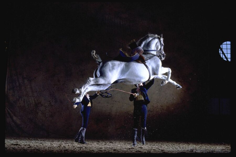 Jerez de la Frontera: How the Andalusian Horses Dance - The Carrousel provides a disciplined finish