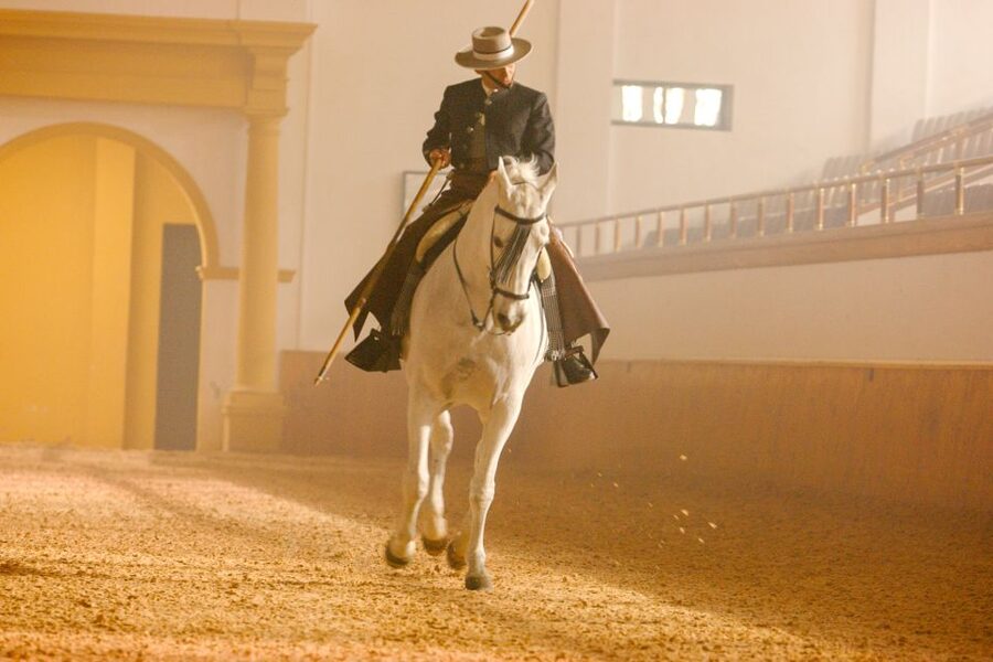 Jerez de la Frontera: How the Andalusian Horses Dance - Is $31 good value for this performance?